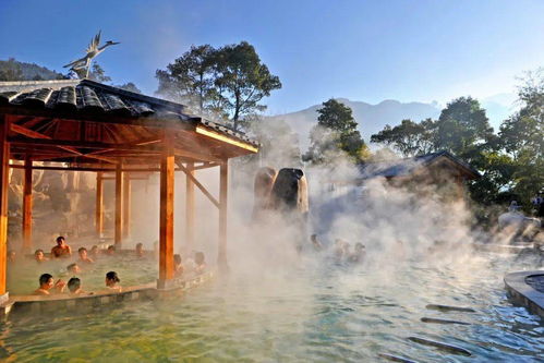 聽說,周末你要來福州